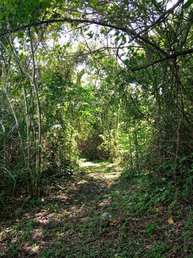 渡假村 El Cielo Biohospedaje - Refugio Sostenible En La Naturaleza *