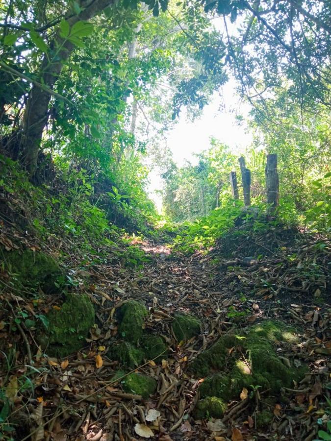 渡假村 El Cielo Biohospedaje - Refugio Sostenible En La Naturaleza Tena