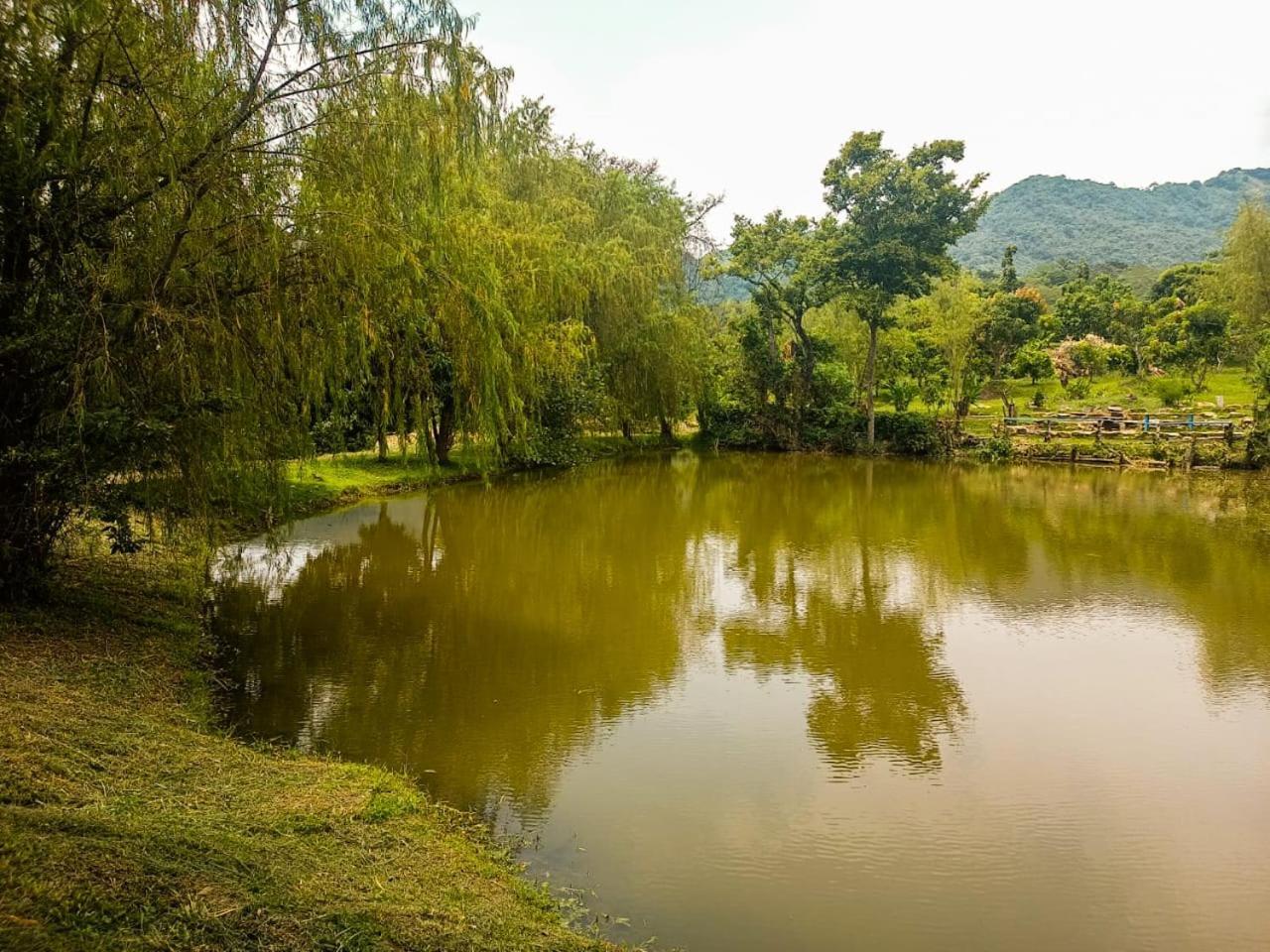 El Cielo Biohospedaje - Refugio Sostenible En La Naturaleza 渡假村 Tena