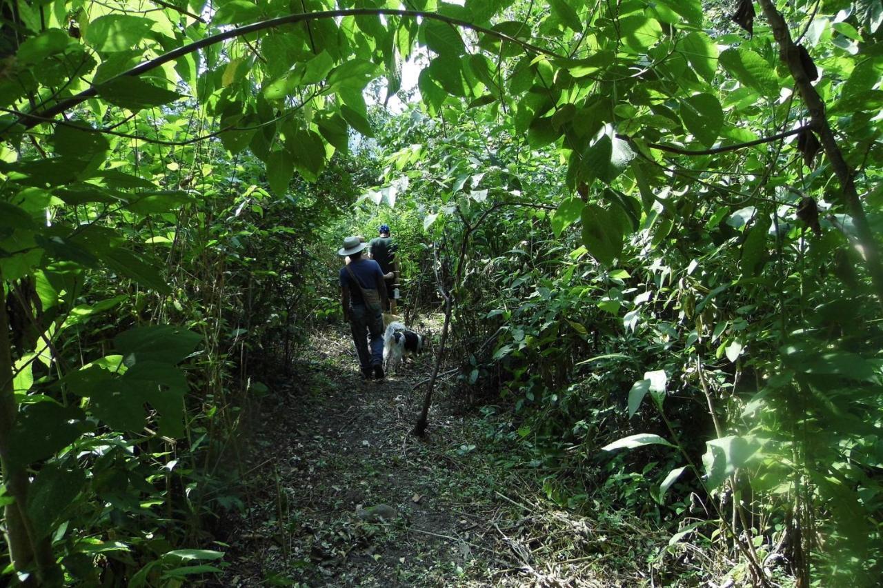 El Cielo Biohospedaje - Refugio Sostenible En La Naturaleza 渡假村