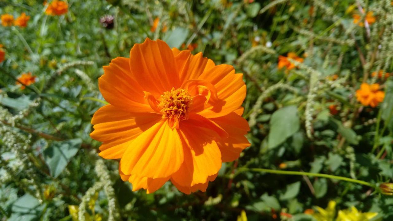 El Cielo Biohospedaje - Refugio Sostenible En La Naturaleza *
